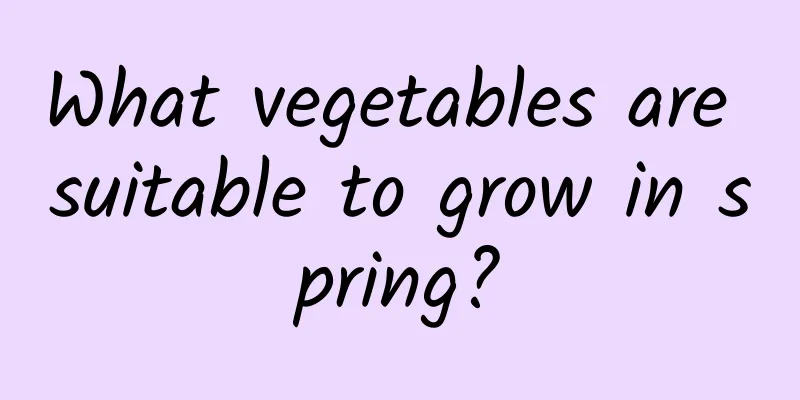 What vegetables are suitable to grow in spring?