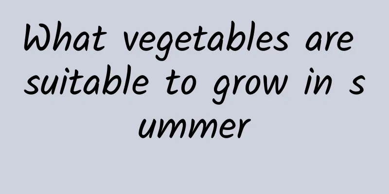 What vegetables are suitable to grow in summer