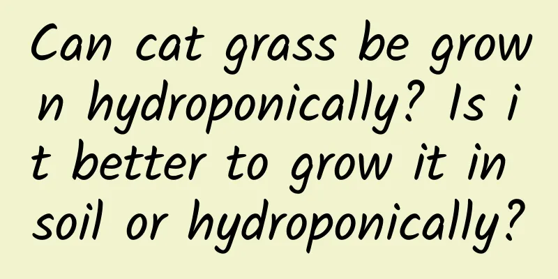Can cat grass be grown hydroponically? Is it better to grow it in soil or hydroponically?