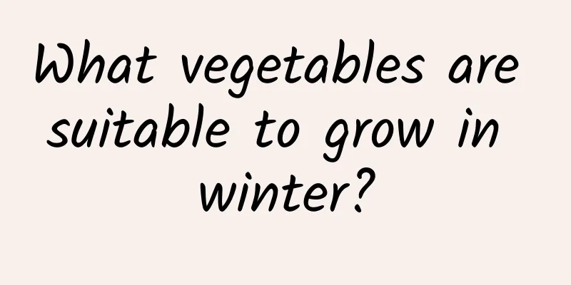What vegetables are suitable to grow in winter?