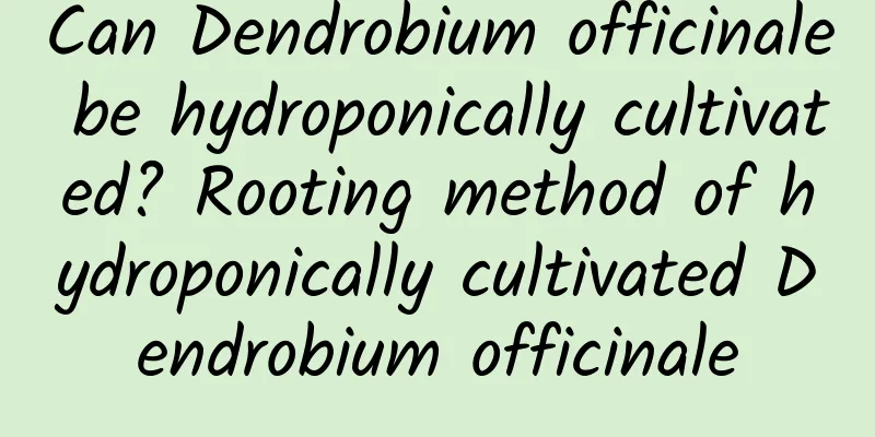 Can Dendrobium officinale be hydroponically cultivated? Rooting method of hydroponically cultivated Dendrobium officinale