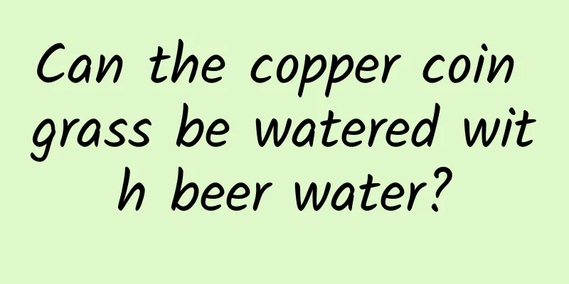 Can the copper coin grass be watered with beer water?