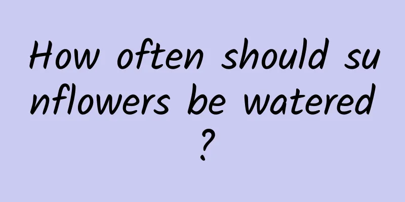 How often should sunflowers be watered?