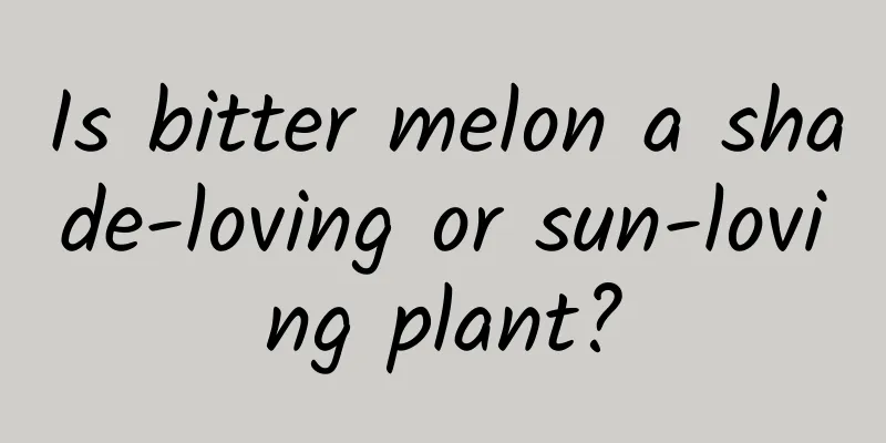 Is bitter melon a shade-loving or sun-loving plant?