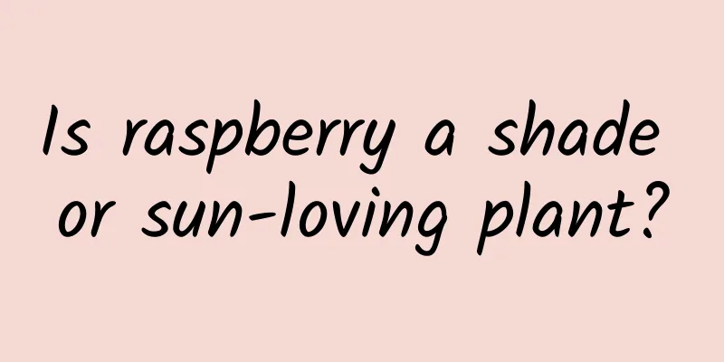 Is raspberry a shade or sun-loving plant?