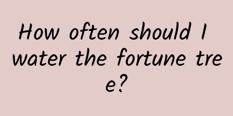 How often should I water the fortune tree?