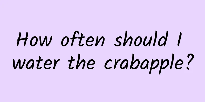 How often should I water the crabapple?