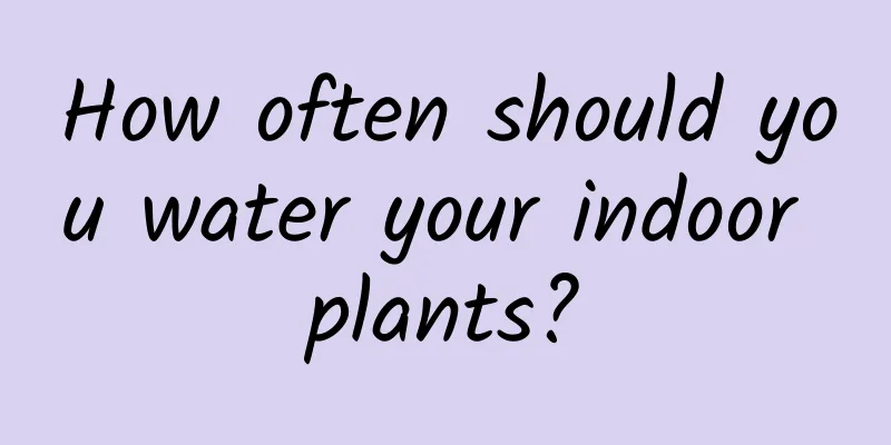 How often should you water your indoor plants?