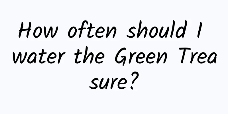 How often should I water the Green Treasure?