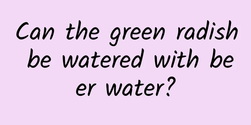 Can the green radish be watered with beer water?