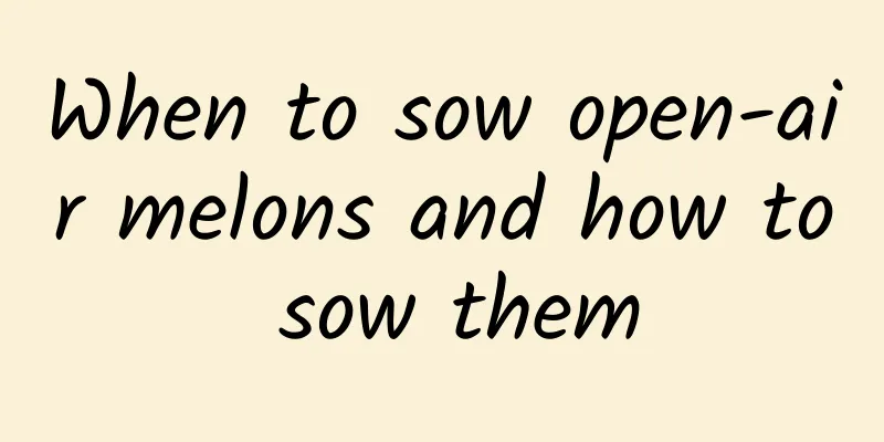 When to sow open-air melons and how to sow them