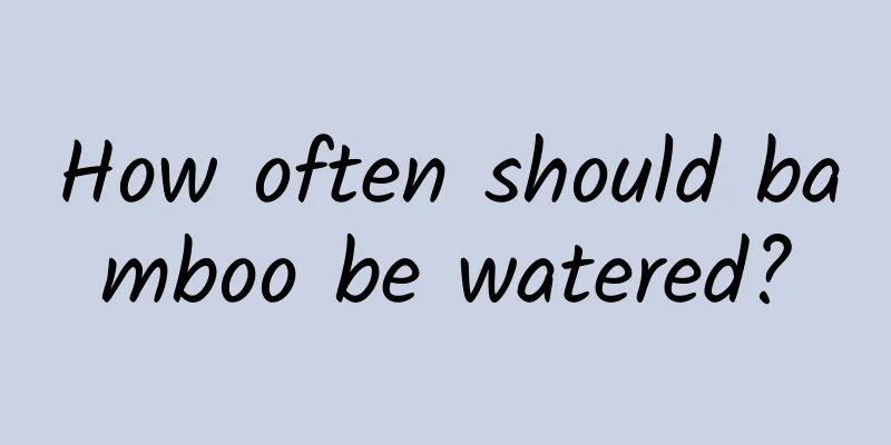 How often should bamboo be watered?