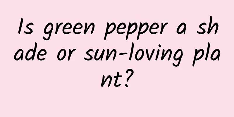Is green pepper a shade or sun-loving plant?