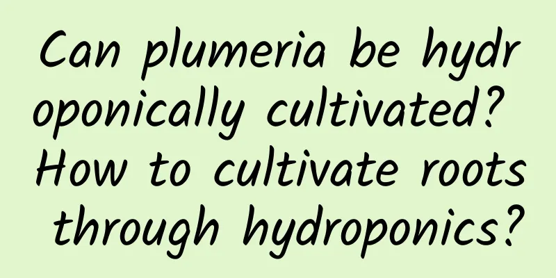 Can plumeria be hydroponically cultivated? How to cultivate roots through hydroponics?