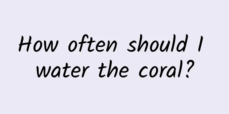 How often should I water the coral?