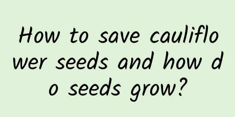 How to save cauliflower seeds and how do seeds grow?