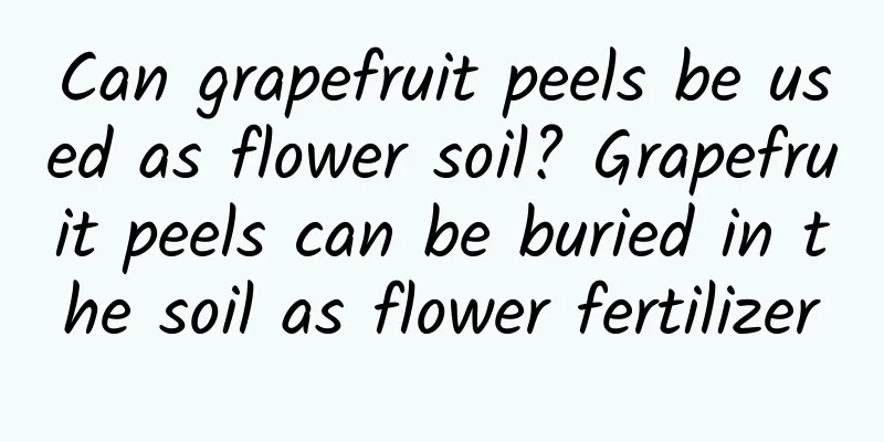 Can grapefruit peels be used as flower soil? Grapefruit peels can be buried in the soil as flower fertilizer