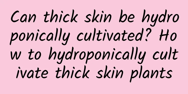 Can thick skin be hydroponically cultivated? How to hydroponically cultivate thick skin plants