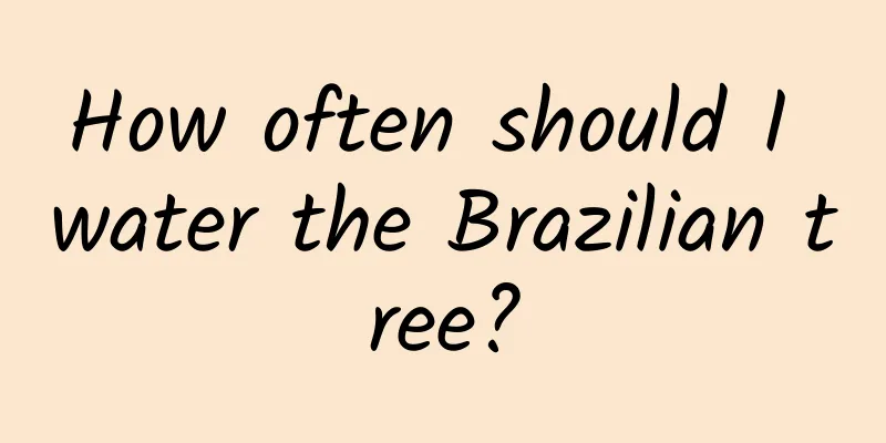 How often should I water the Brazilian tree?