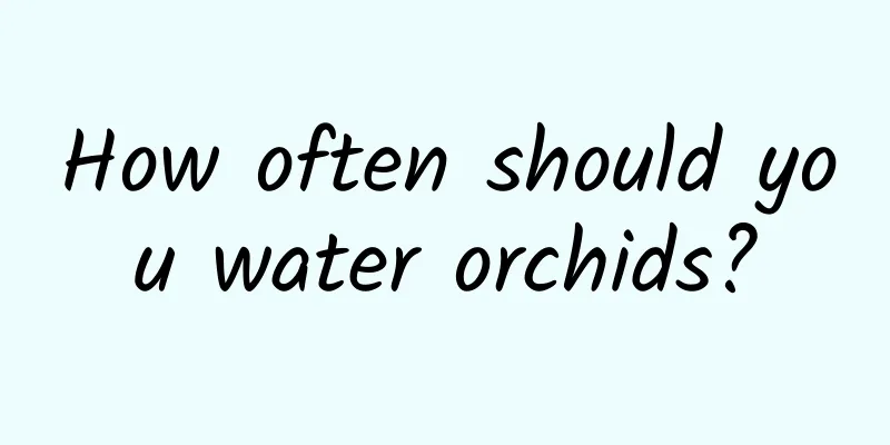 How often should you water orchids?