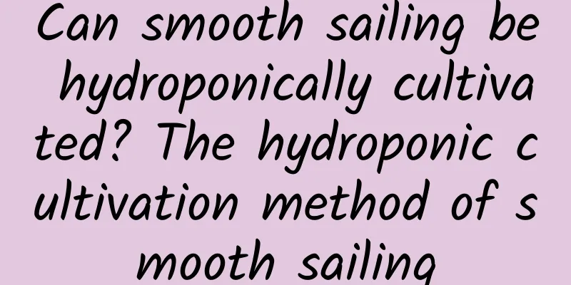 Can smooth sailing be hydroponically cultivated? The hydroponic cultivation method of smooth sailing