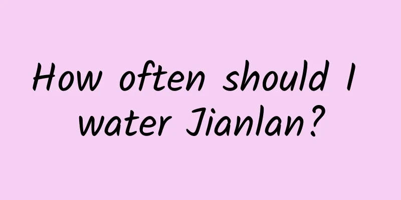 How often should I water Jianlan?