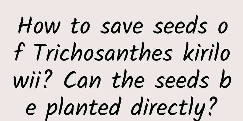 How to save seeds of Trichosanthes kirilowii? Can the seeds be planted directly?