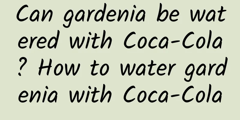 Can gardenia be watered with Coca-Cola? How to water gardenia with Coca-Cola