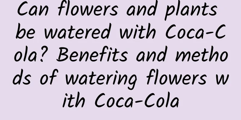 Can flowers and plants be watered with Coca-Cola? Benefits and methods of watering flowers with Coca-Cola