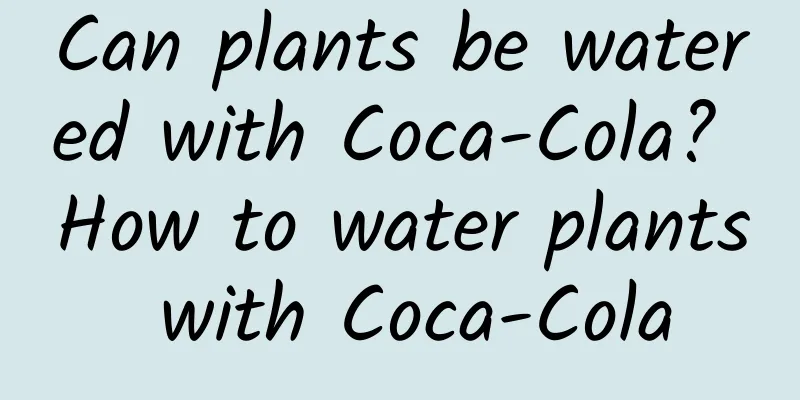 Can plants be watered with Coca-Cola? How to water plants with Coca-Cola