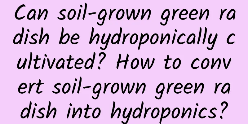 Can soil-grown green radish be hydroponically cultivated? How to convert soil-grown green radish into hydroponics?