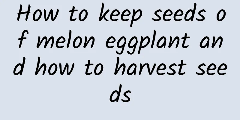 How to keep seeds of melon eggplant and how to harvest seeds