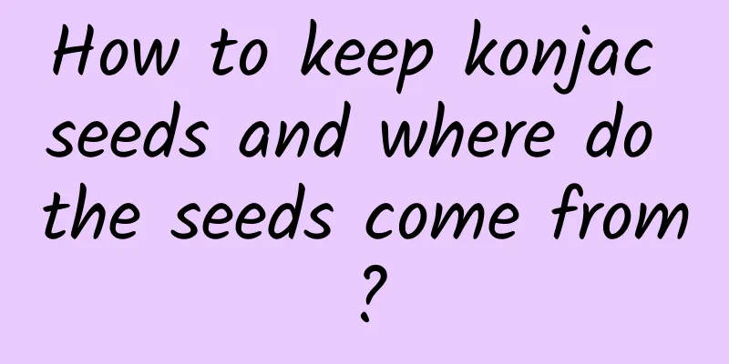 How to keep konjac seeds and where do the seeds come from?