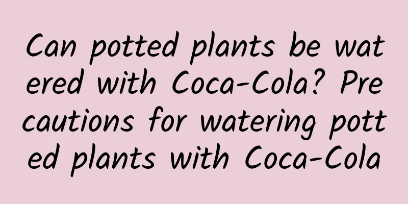 Can potted plants be watered with Coca-Cola? Precautions for watering potted plants with Coca-Cola