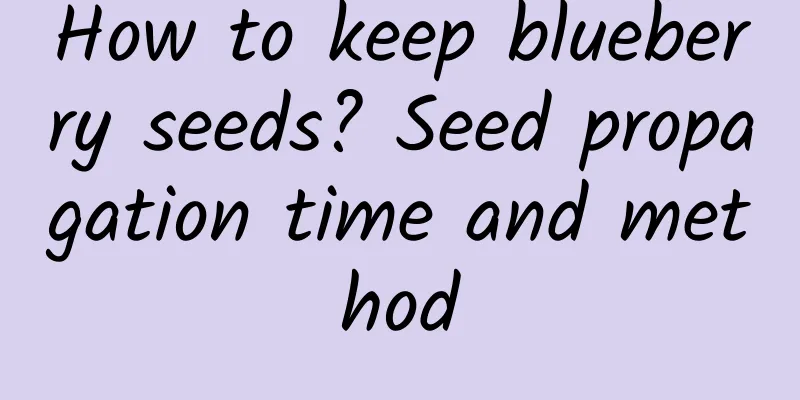 How to keep blueberry seeds? Seed propagation time and method