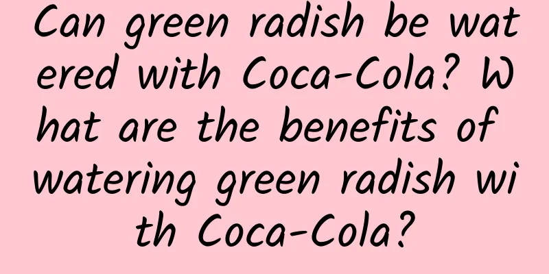 Can green radish be watered with Coca-Cola? What are the benefits of watering green radish with Coca-Cola?