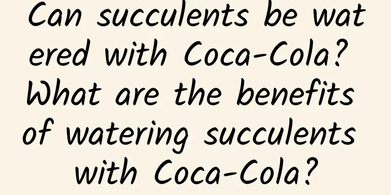 Can succulents be watered with Coca-Cola? What are the benefits of watering succulents with Coca-Cola?
