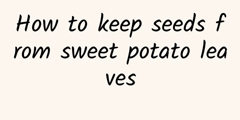 How to keep seeds from sweet potato leaves
