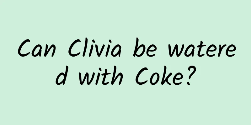Can Clivia be watered with Coke?