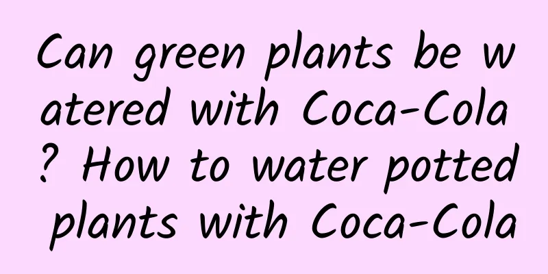 Can green plants be watered with Coca-Cola? How to water potted plants with Coca-Cola