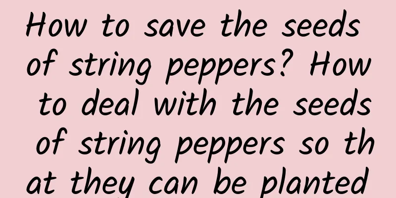 How to save the seeds of string peppers? How to deal with the seeds of string peppers so that they can be planted