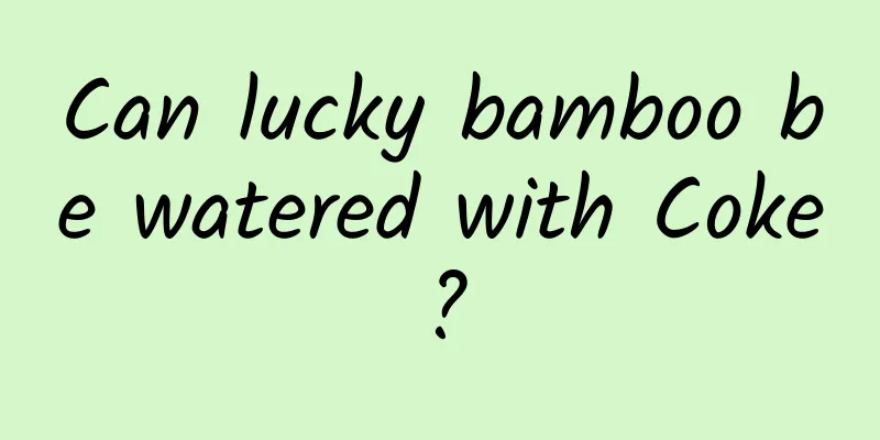 Can lucky bamboo be watered with Coke?
