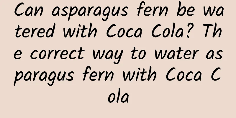 Can asparagus fern be watered with Coca Cola? The correct way to water asparagus fern with Coca Cola