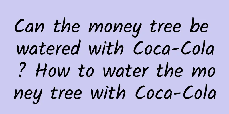 Can the money tree be watered with Coca-Cola? How to water the money tree with Coca-Cola