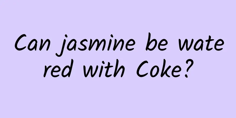 Can jasmine be watered with Coke?