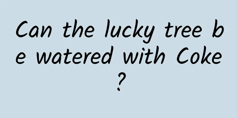 Can the lucky tree be watered with Coke?
