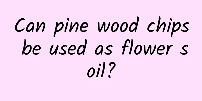Can pine wood chips be used as flower soil?