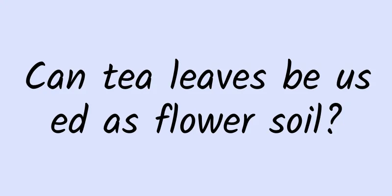Can tea leaves be used as flower soil?