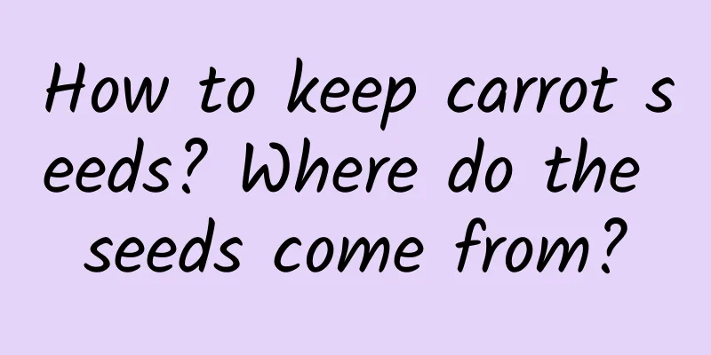 How to keep carrot seeds? Where do the seeds come from?