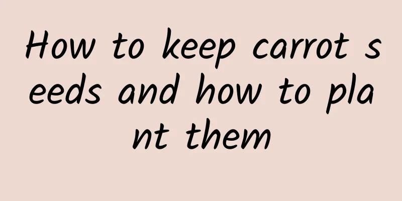 How to keep carrot seeds and how to plant them